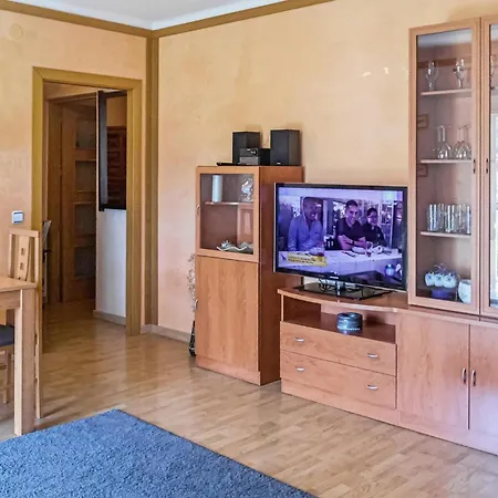 Apartment Cozy In With Kitchen