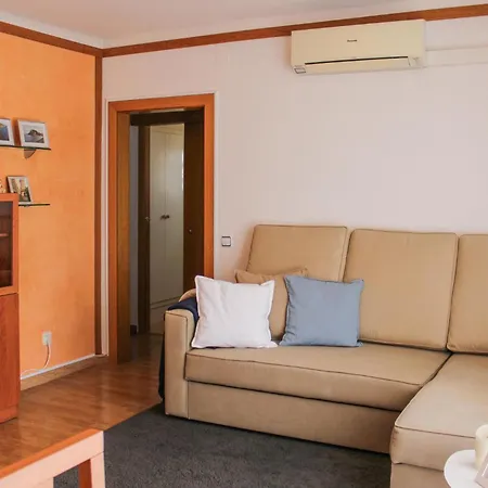 Apartment Cozy In With Kitchen